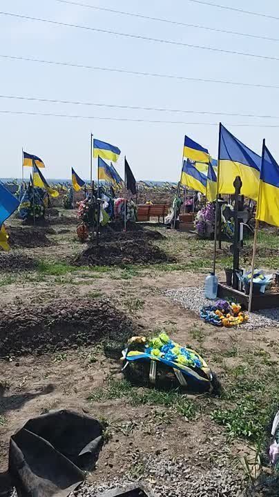 ����� �����: �������� ���������� �������� � ���������������