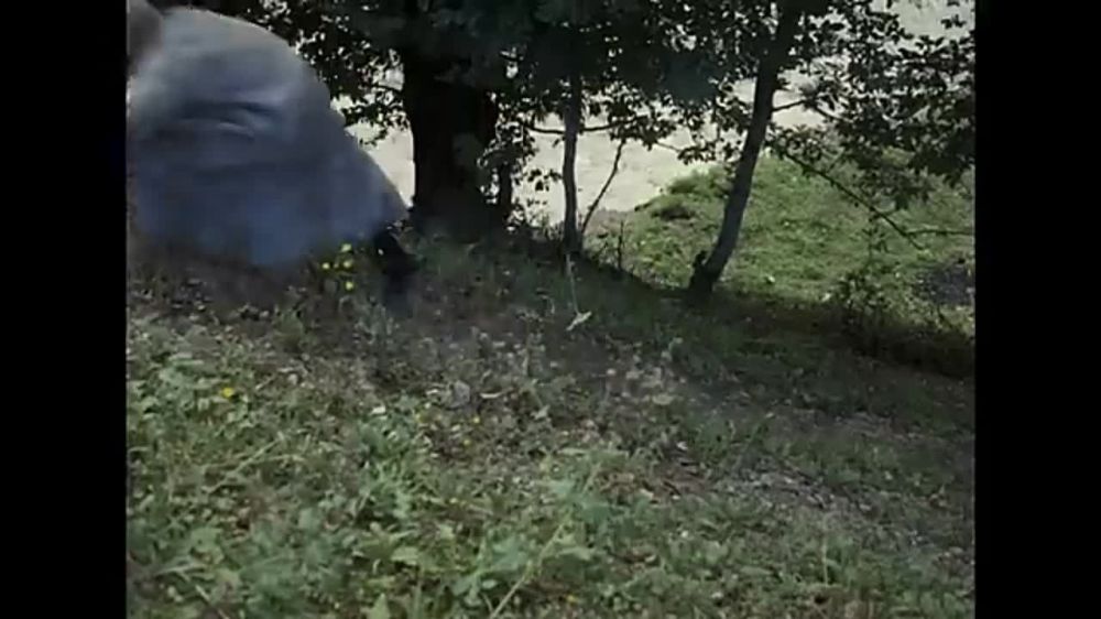 ���������� �������. ��� �������