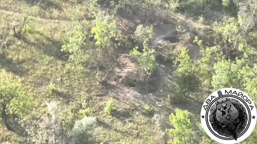 Два майора: Запорожский фронт. На окраине н.п. Пятихатки беспечный ВСУшник вышел "до ветру", чем демаскировал себя и товарищей