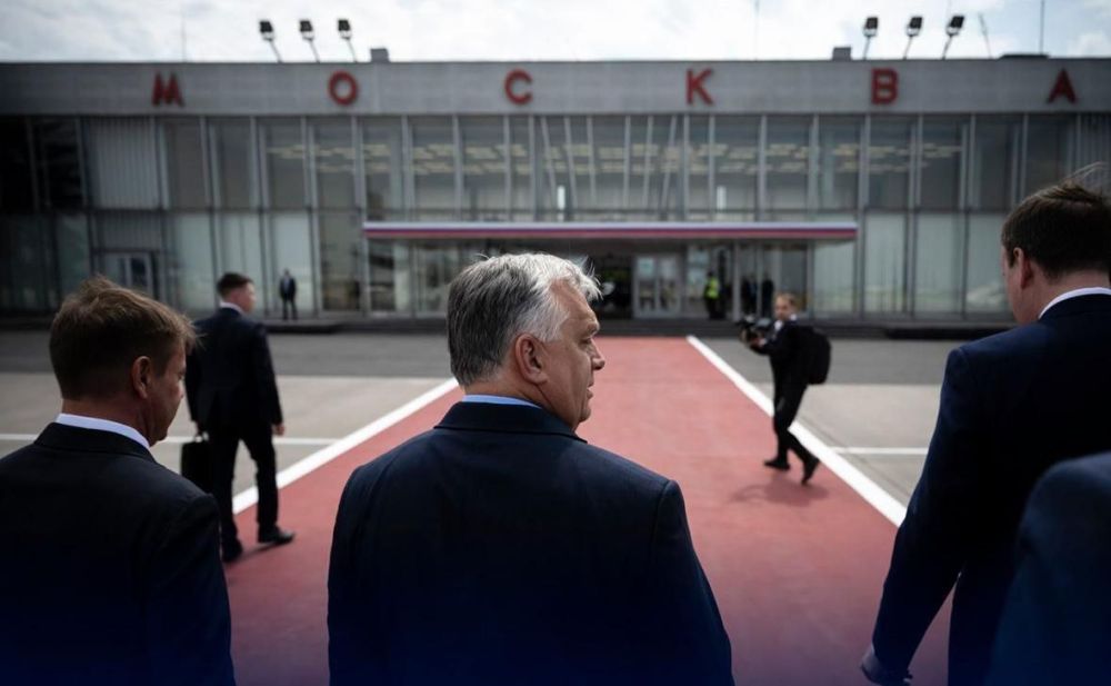 �������-������� ������� ������ ����� ������ ������� ��������, � ������ ������� � ������, ����� ������