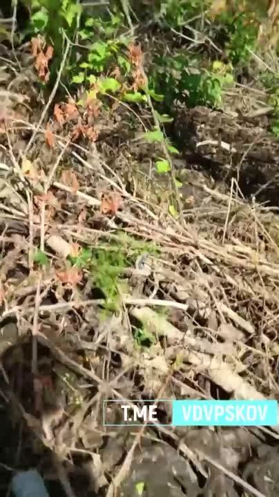 ����� �����: ����� ���������� �� �������� � ������ ���� �����