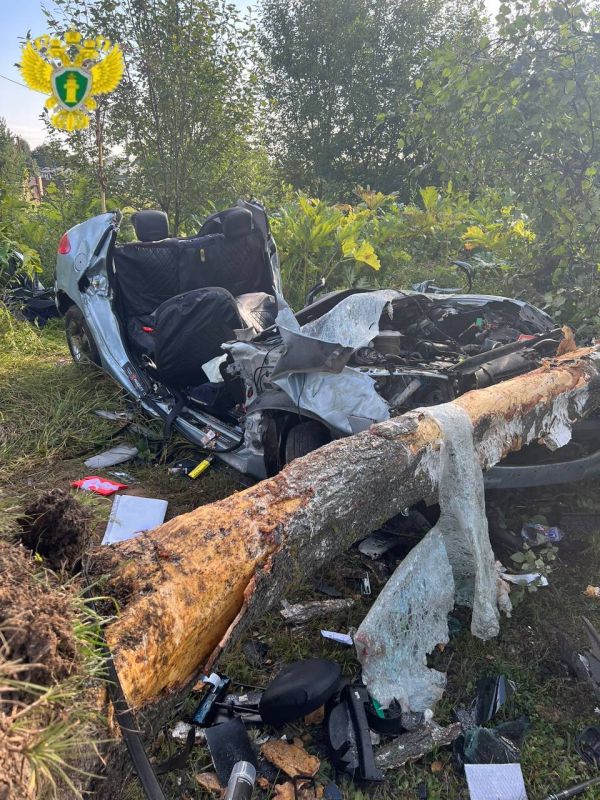 Три человека, в том числе ребенок, погибли в ДТП в Новой Москве