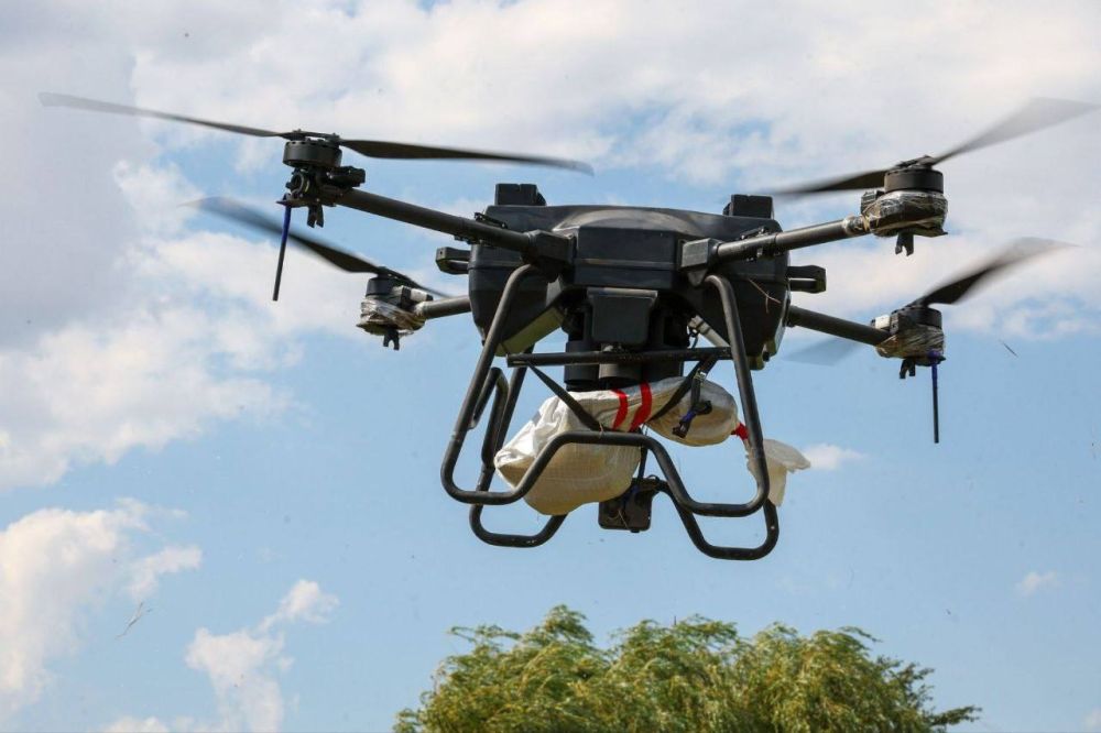 ����� �����: ������������ � ��������� ����������� ��������� �� �� ��� �������� ���������, ����������� � ������ ������ �� ������� �� ������