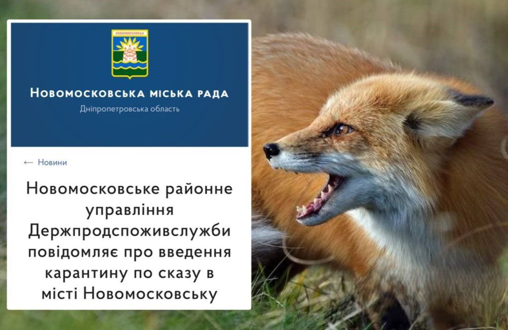 В Новомосковске больная бешенством лиса нападала на дворовых собак и кур
