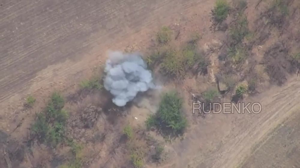 ������ �������: ������ ����������������� ���� �Zala� ���������� ����������� ��������� ������� ��� �-777 �� ������ ������ ������ � ���������� ������� � �������������� �� ��������� ����������