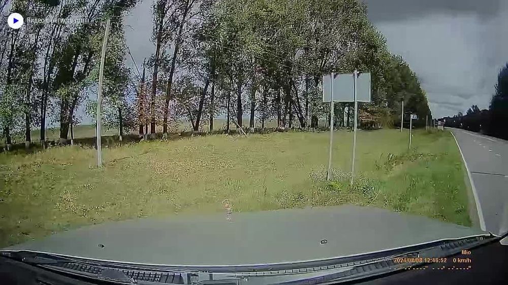 Военкор Александр Коц: "Работал сегодня весь день под Суджей