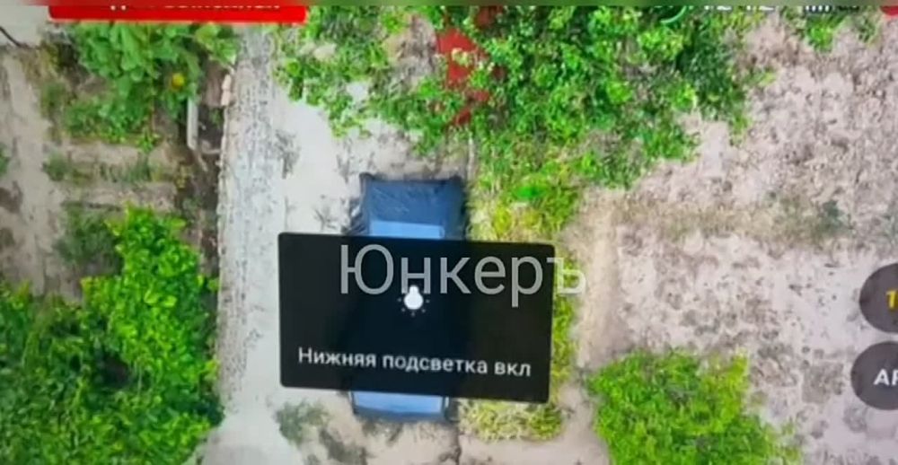 ����� �����: ������ ���������� ��� �� ���������� �����������