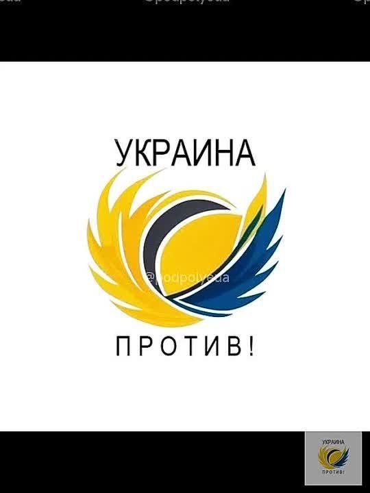 Кадры сожжения двух автомобилей ТЦК в Днепропетровске и Новомосковске Днепропетровской области представителями украинского подполья