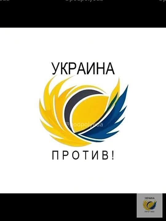 Видеозаписи демонстрируют сожжение двух автомобилей военкомов в Днепропетровске и Новомосковске Днепропетровской области, что, как сообщается, было совершено днепропетровскими партизанами