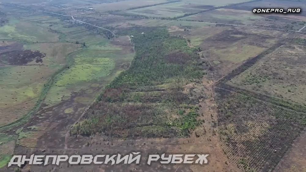 ����� �����: ��������� ��������� ��������� �� ������������ ������