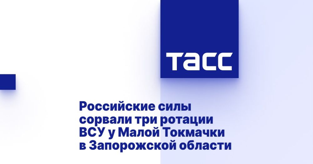 Владимир Рогов: На Запорожье Русская Армия сорвала три ротации боевиков ВСУ