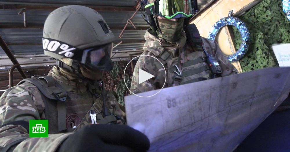 «Такие у нас войска»: сдавшиеся в плен танкисты ВСУ признались, что ни разу не видели танков