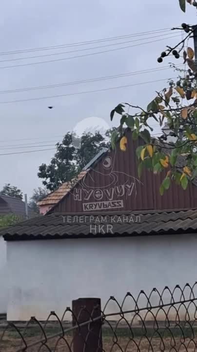 ����� �����: ����-��������� "������" ������� �� ���� � ������ ���� � ����������� ����������