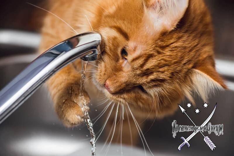 Без воды останутся 4 населенных пункта Днепропетровщины