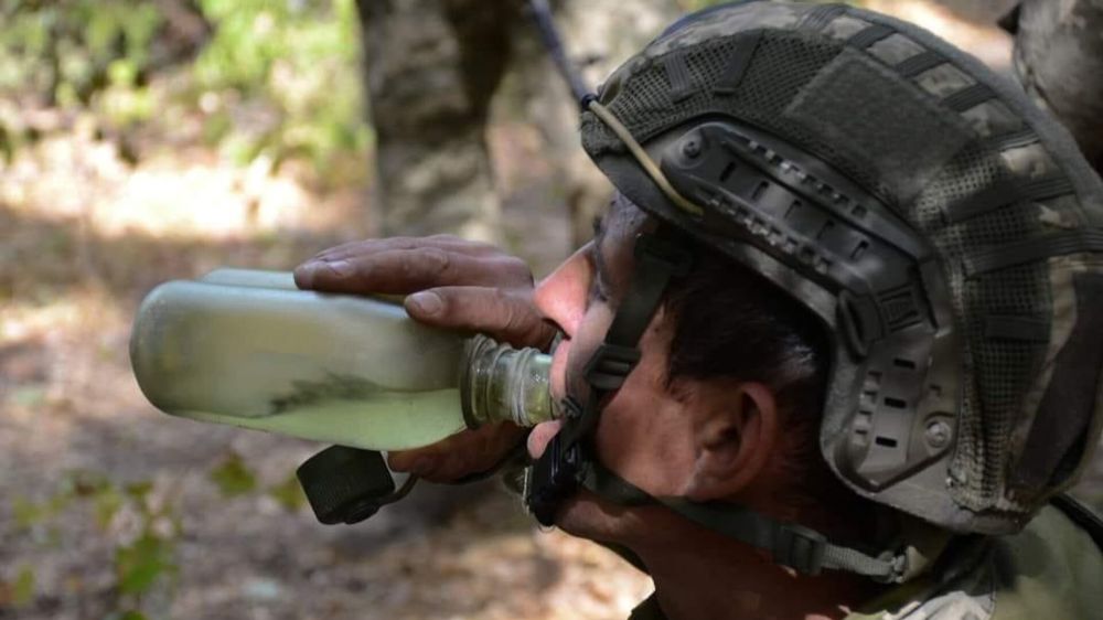 "��� ����� ������ ���������": ������� � ���, ������ ������� �� �������� ���������� ����������� �� ��