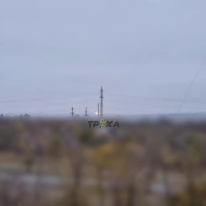 ���� ��������: � ������ ���� ������ �� ������ �������������� 77 ��������� ������������� ������� ���, �������� @beard_tim