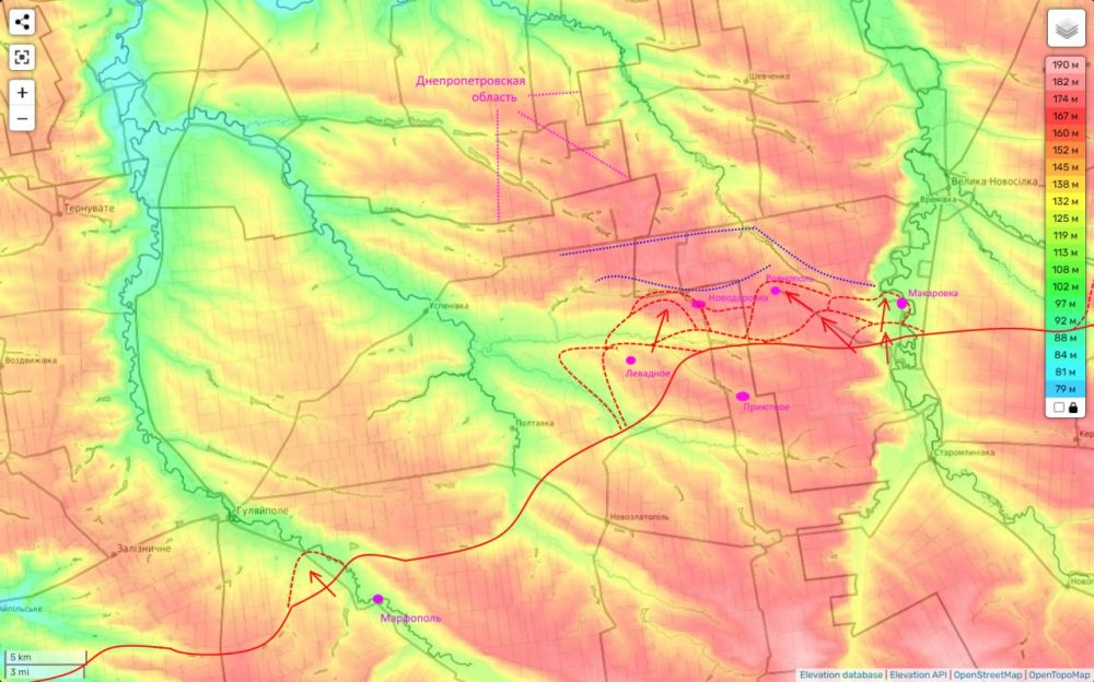 ���� ��������: ����-����������� ����������� �� ���� 14.11.24: ���������������� ������� � ����� �����������