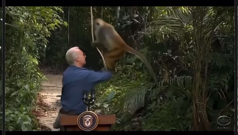 ����� ����������: � ������� �������� �����������, � ������ ��������� ��������� �� ���� �����, ��������� �������� ����� � ���������