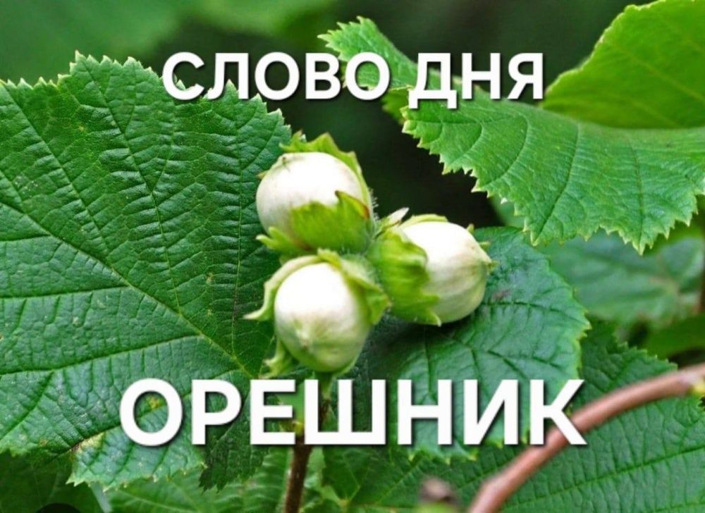 ����� �������: ������ ������� � ������� ������������� ������ �� �������� �������� �� ��� �������