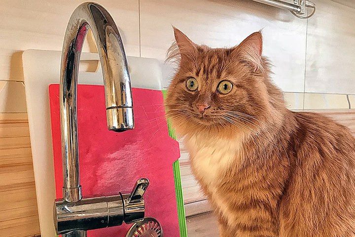 На несколько суток без воды останутся жители Синельниково, Павлограда, Первомайска и Терновки