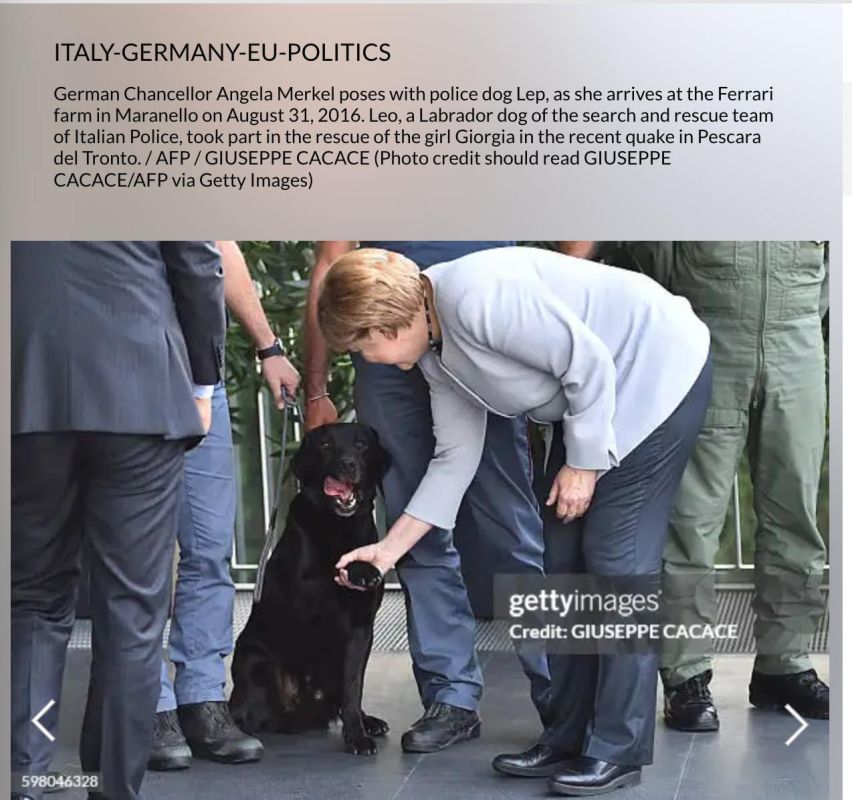 ������� �������� �������� ������ ������� �������� ������ � ���������� ����������� �� ������� � 2007 ����