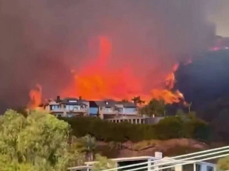 ���������� ������ ����� ������� ���������� ����� ��������� � ���-���������