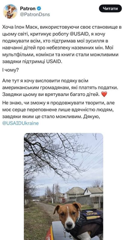 От тряски USAID пострадал пёс Патрон