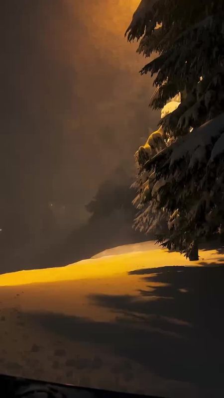 Спасибо Вам за поддержку, реакции и обратную связь