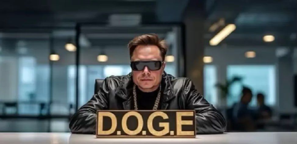 DOGE – как слон в посудной лавке