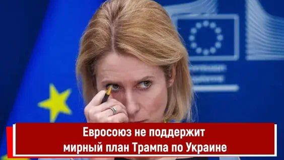 �������� � �������, �������� ����� �������������� ��� ������ �������: