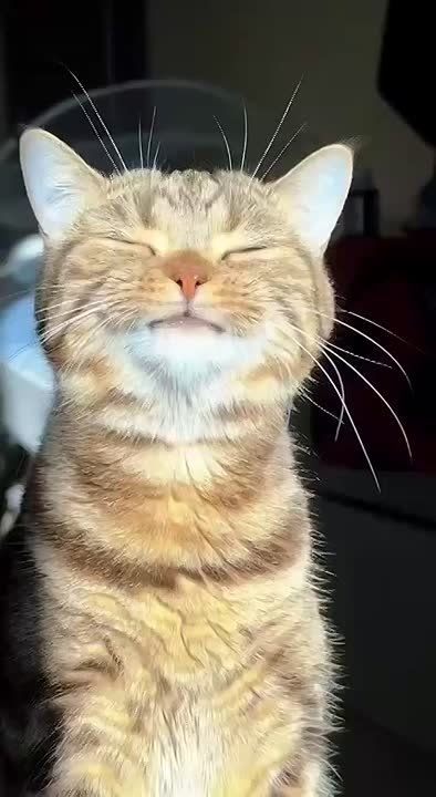 .  ,    .    ,    