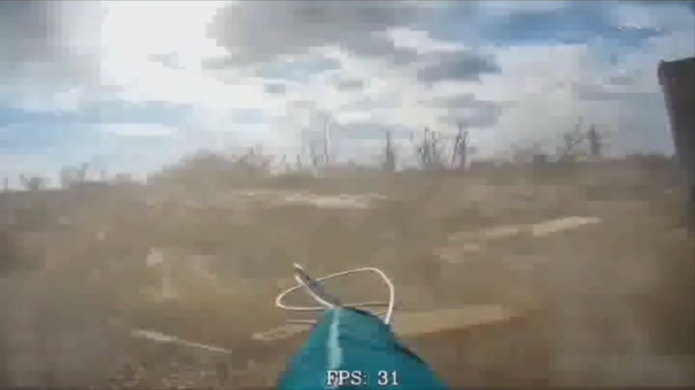  : -     ,         ,             ...