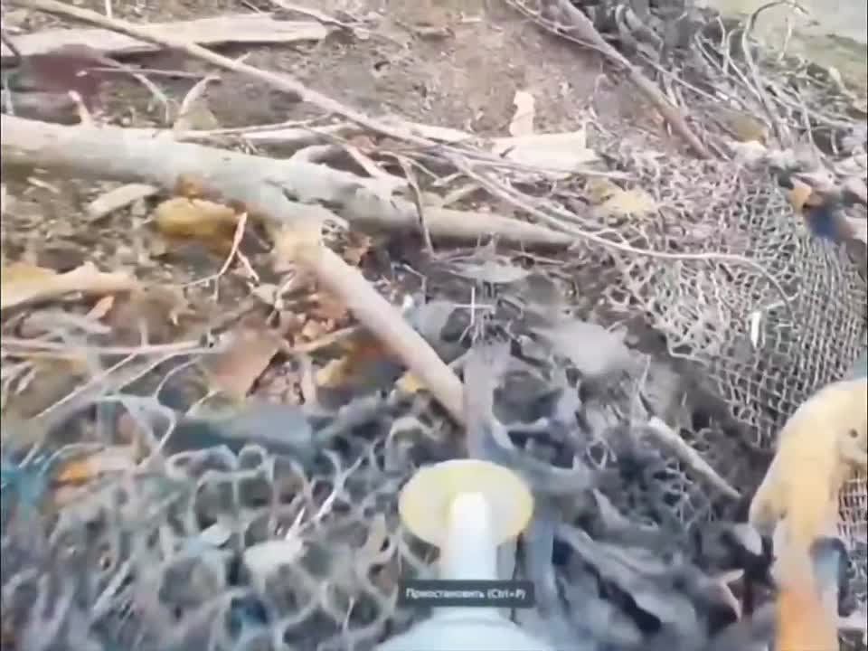  : 1-  .      (     ),           