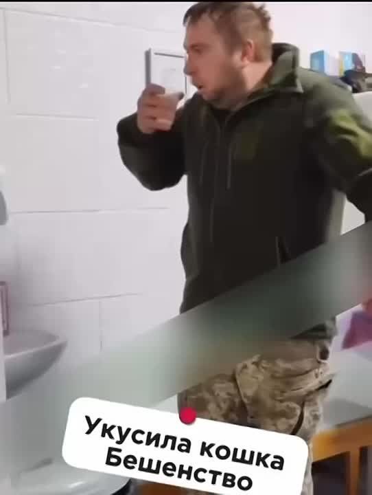 &quot; &quot;  