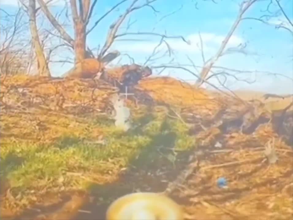  :   - ( ʸ,  )      &quot;-&quot;   ,      ...