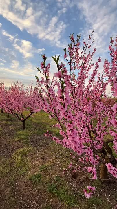 Спасибо Вам за поддержку, реакции и обратную