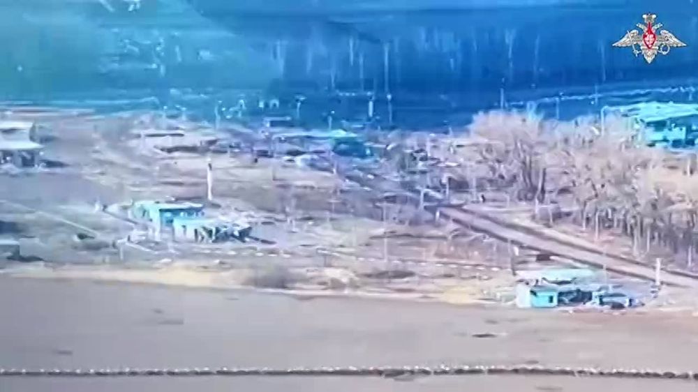 Что в голове у Зеленского?