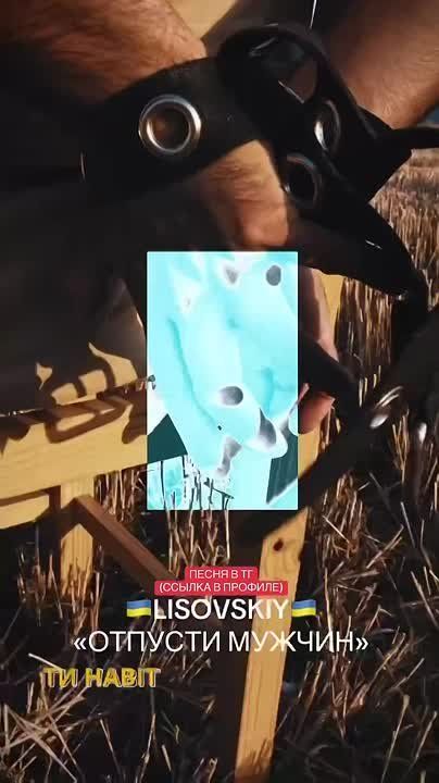 LISOVSKIY -  ͻ