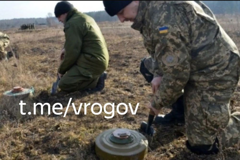 �������� �����: ������� ����� ������� ������� ��� � ������ ����������� �������