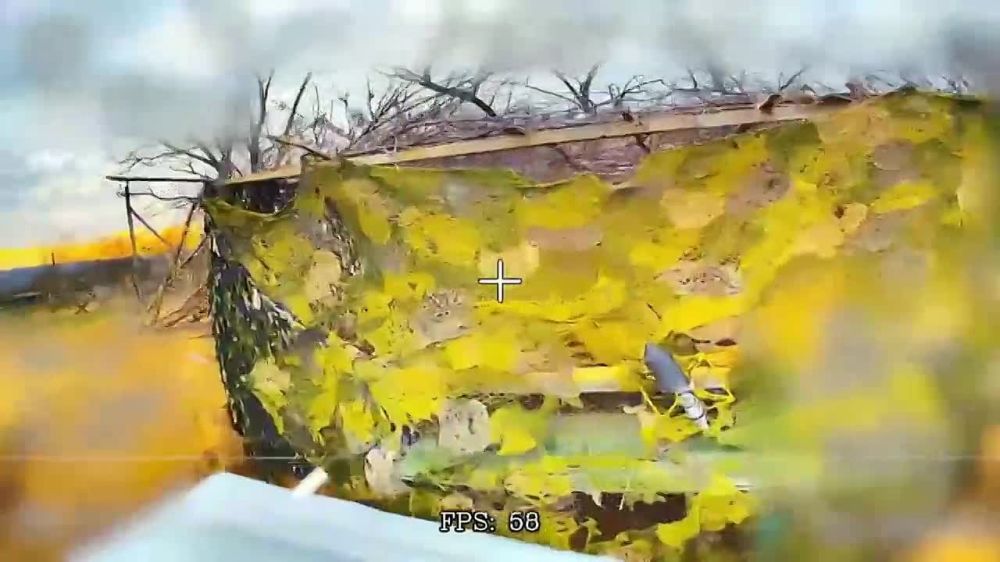   27.03.25:           (   ).            