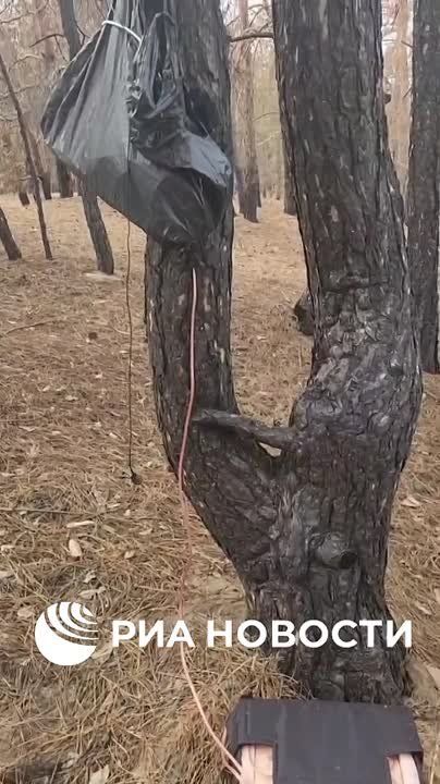    ,      ,    ,      