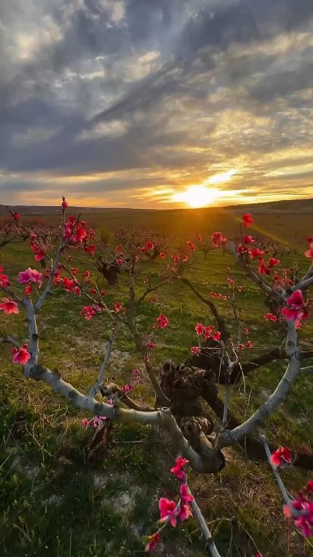 Спасибо Вам за поддержку, реакции и обратную