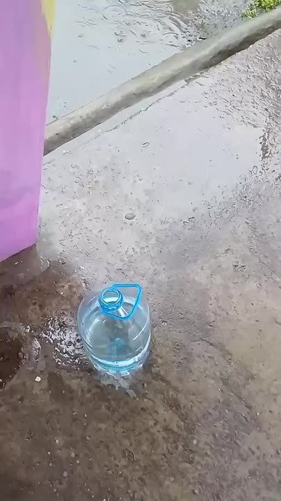  /    ,         