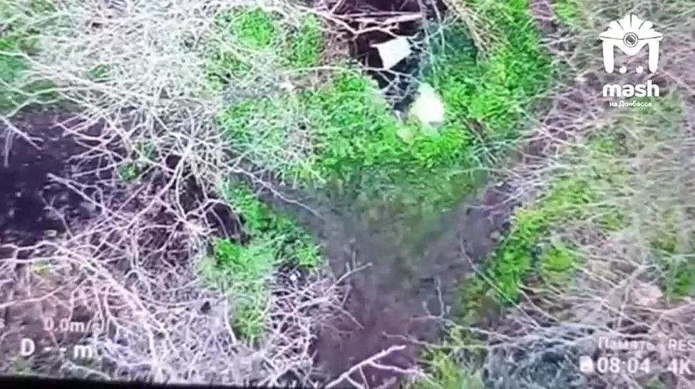  &quot;&quot;        ( )