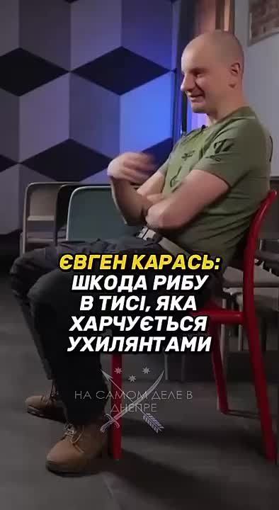   . ,  ,   ,         ,  