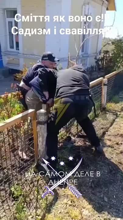  ,    ..        .   