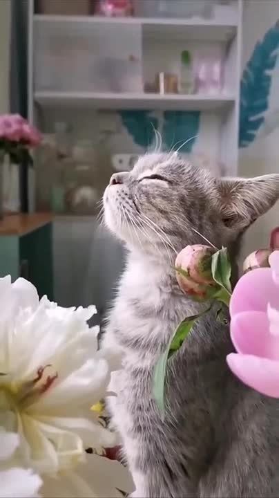 ..  ,  ,   ! ,   !    