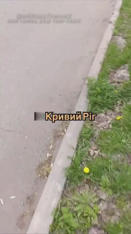 Кривой Рог. Люди прогоняют людоловов и полицаев