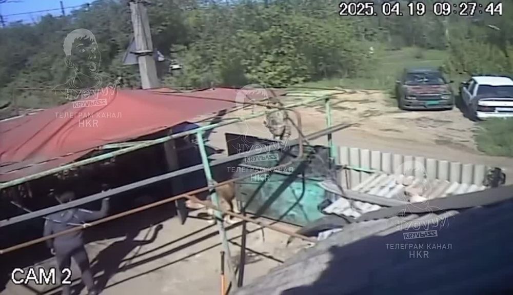 В Кривом Роге пс спас убегающего от людолова "добровольца"