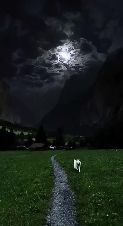 Спасибо Вам за поддержку, реакции и обратную